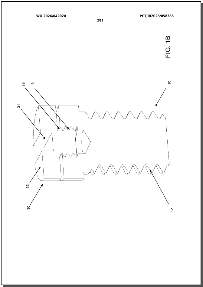 WO2026042020 (A1) — 2