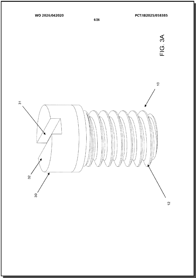 WO2026042020 (A1) — 6