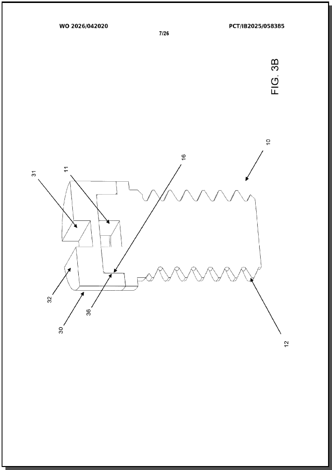 WO2026042020 (A1) — 7