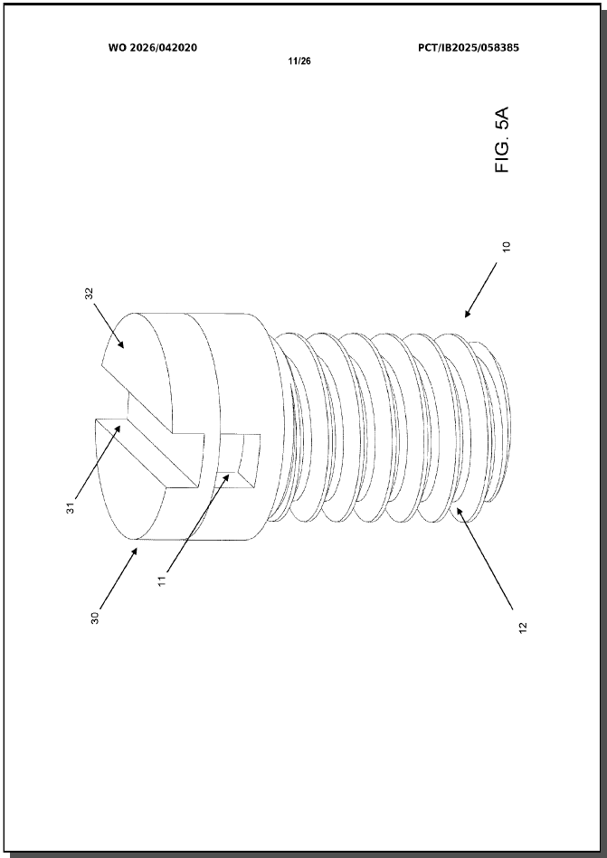 WO2026042020 (A1) — 11